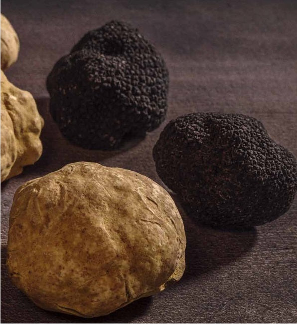 Fresh Black and White Truffle Available Upon Request